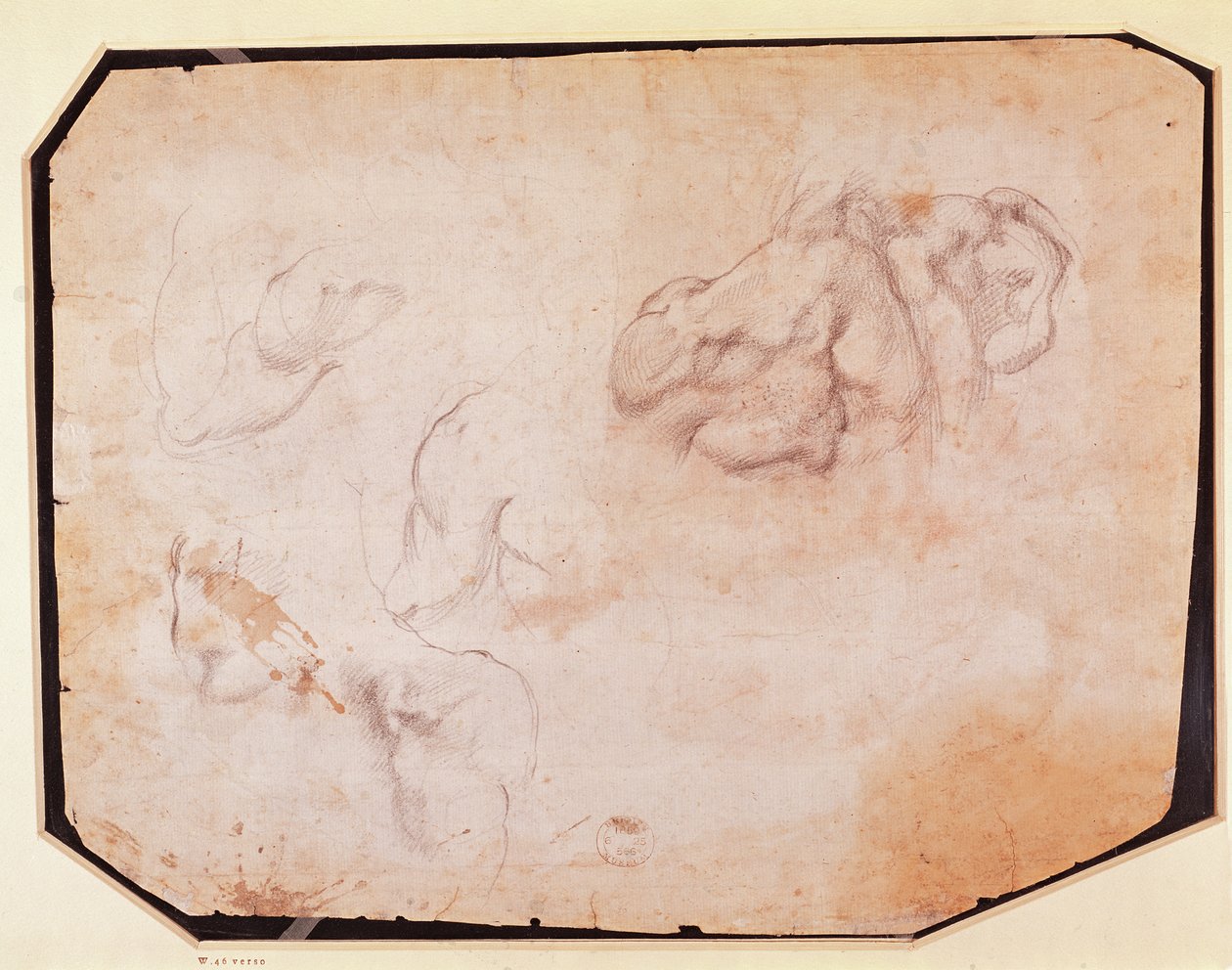 Lihastutkimus (käänteinen) (katso suoraan 191769) tekijältä Michelangelo Buonarroti