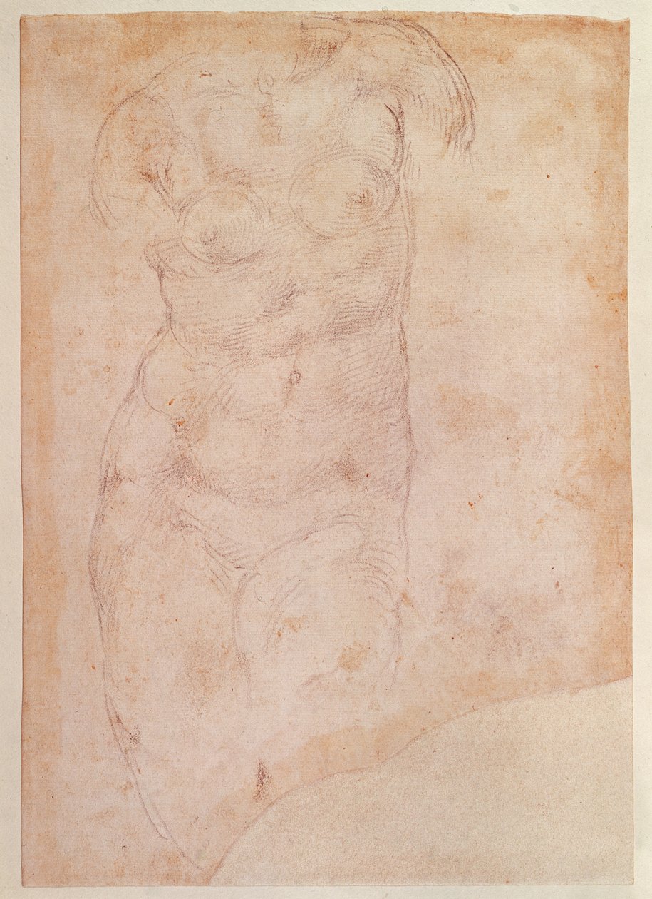 Tutkimus naisen alastonkuvasta tekijältä Michelangelo Buonarroti