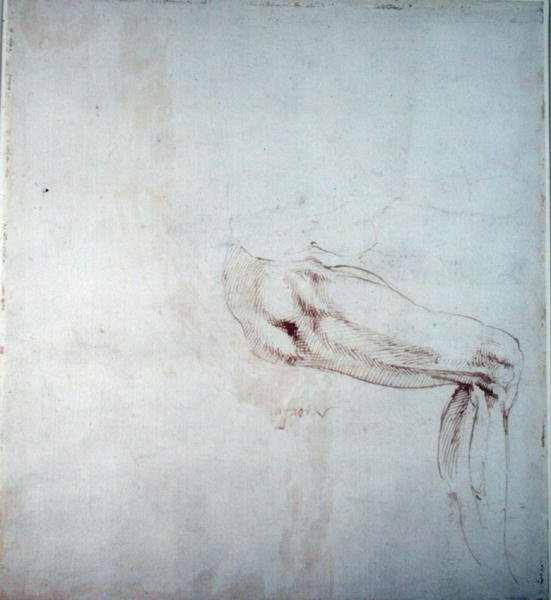 Tutkimus jalasta muistiinpanoilla (ruskea muste paperille) (suoraan) tekijältä Michelangelo Buonarroti