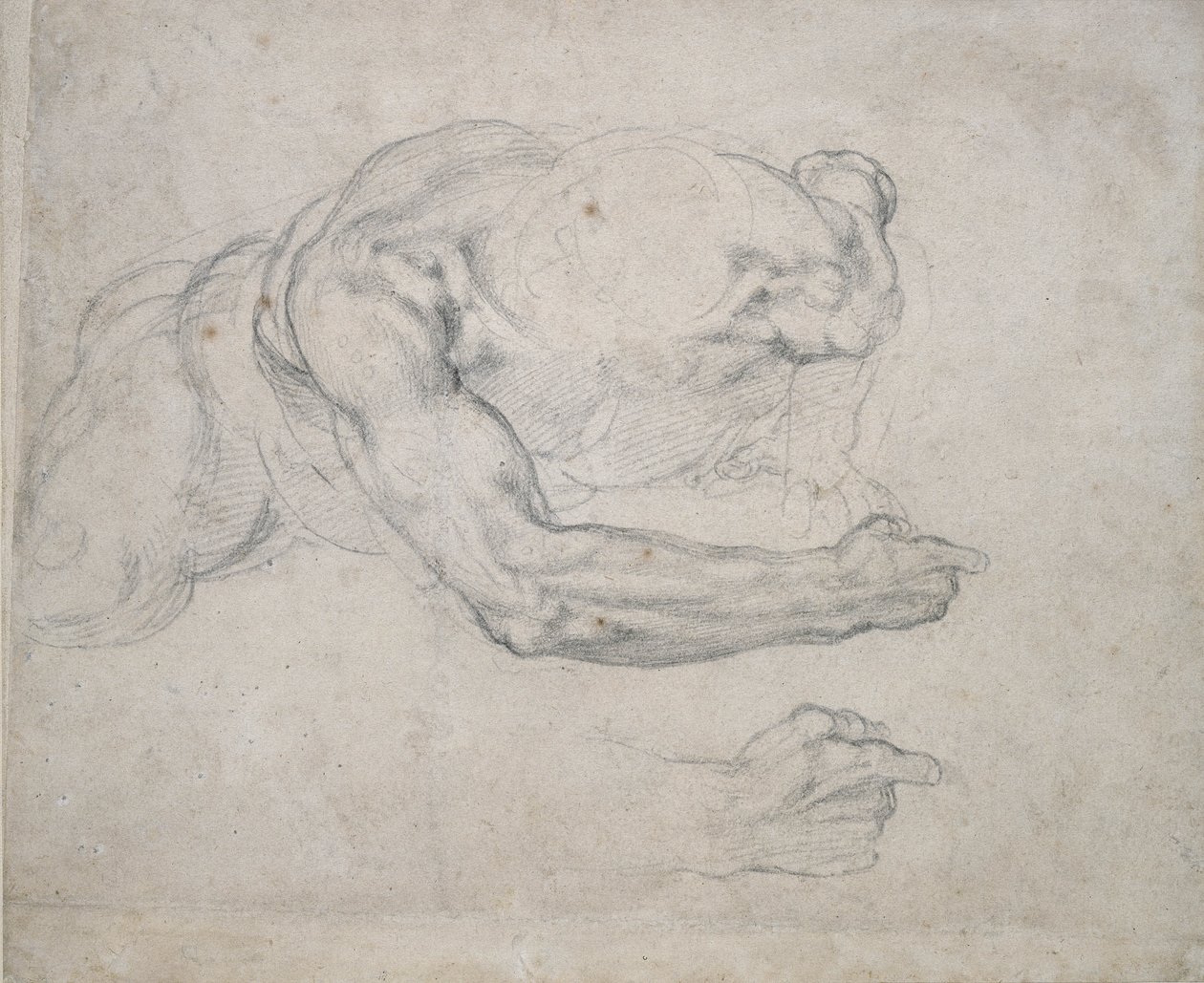 Tutkimus maasta nousevasta miehestä (musta liitu luonnonvalkoiselle paperille) tekijältä Michelangelo Buonarroti
