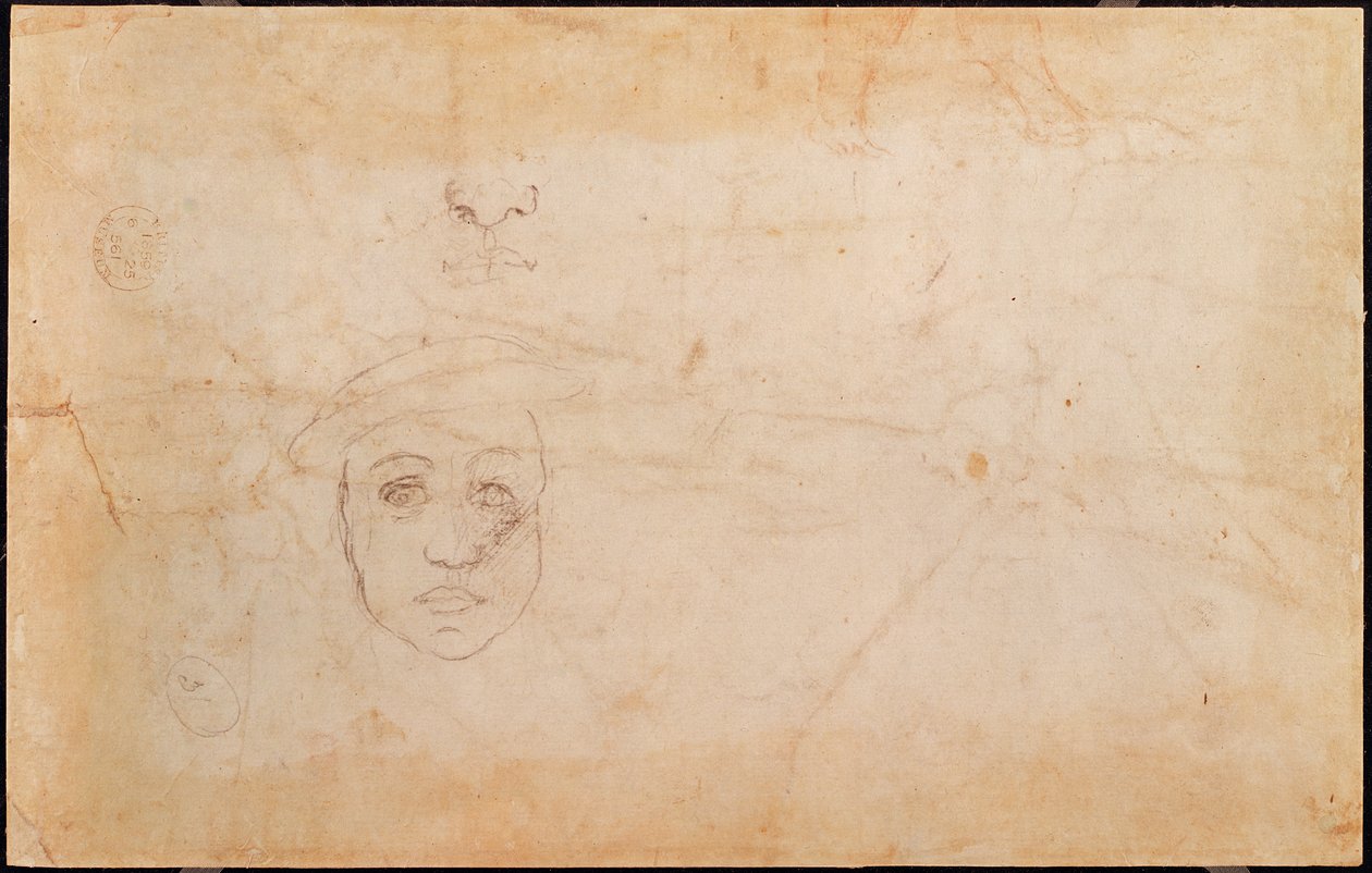 Miehen pään tutkimus (käänteinen) tekijältä Michelangelo Buonarroti