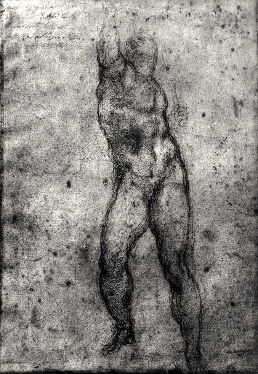 Tutkimus miesalastosta tekijältä Michelangelo Buonarroti