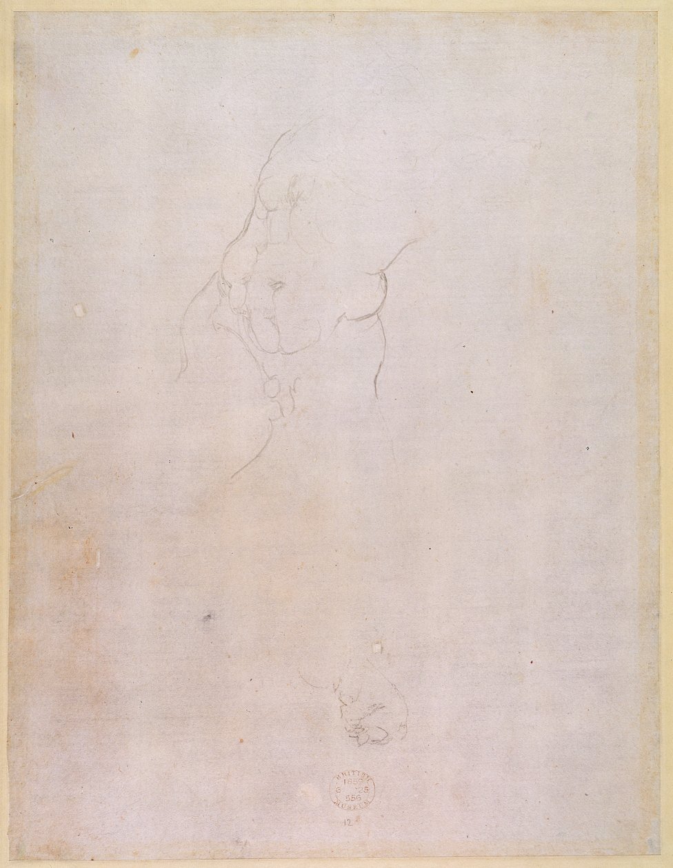 Tutkimus miehen vartalosta (verso) (katso 192512) tekijältä Michelangelo Buonarroti