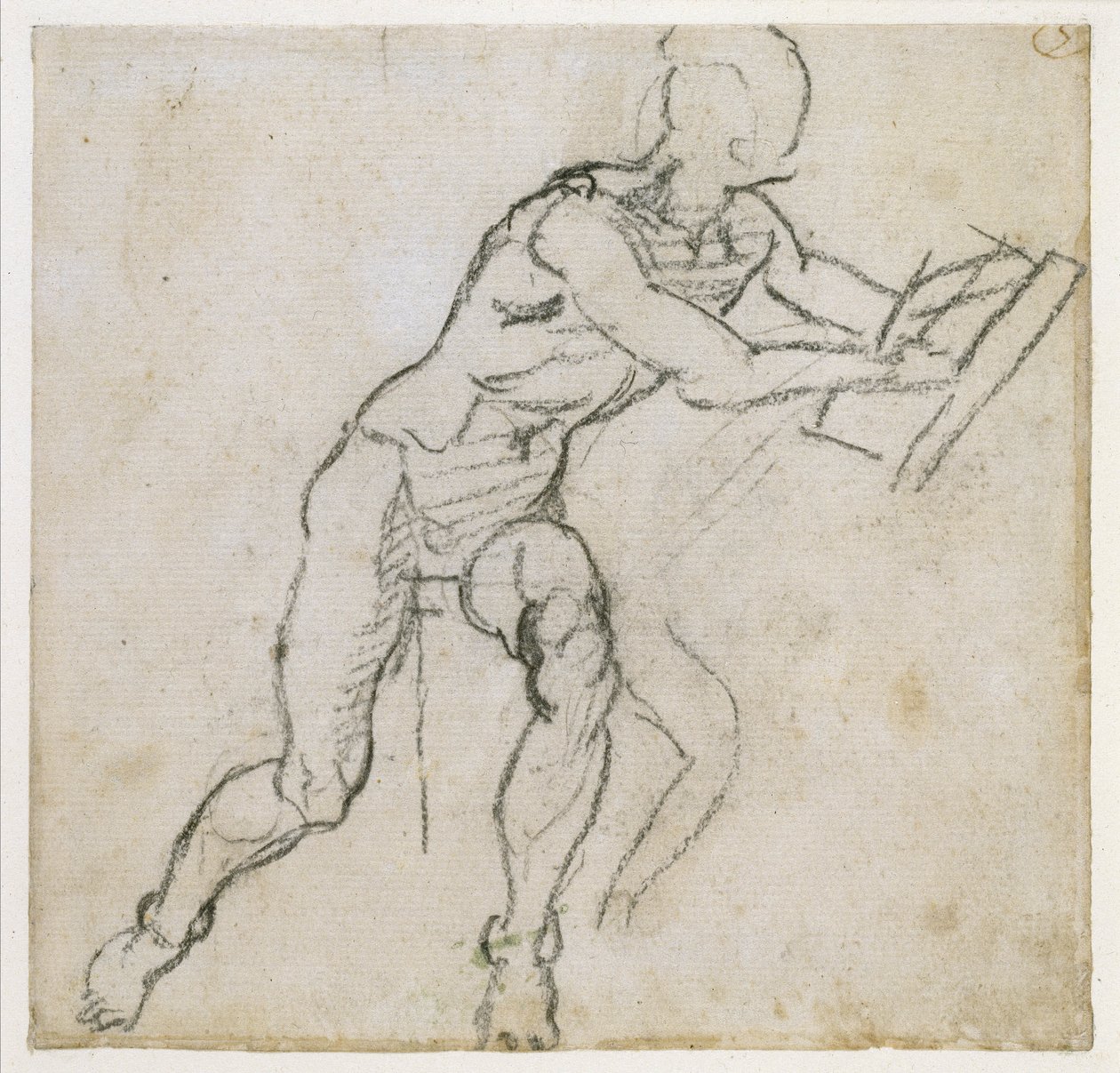 Tutkimus istuvasta miesalastosta, n. 1511 (musta liitu paperille) tekijältä Michelangelo Buonarroti