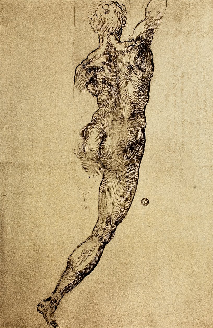 Michelangelon piirustus viriilihahmosta takaa katsottuna. Casa Buonarroti, Firenze tekijältä Michelangelo Buonarroti