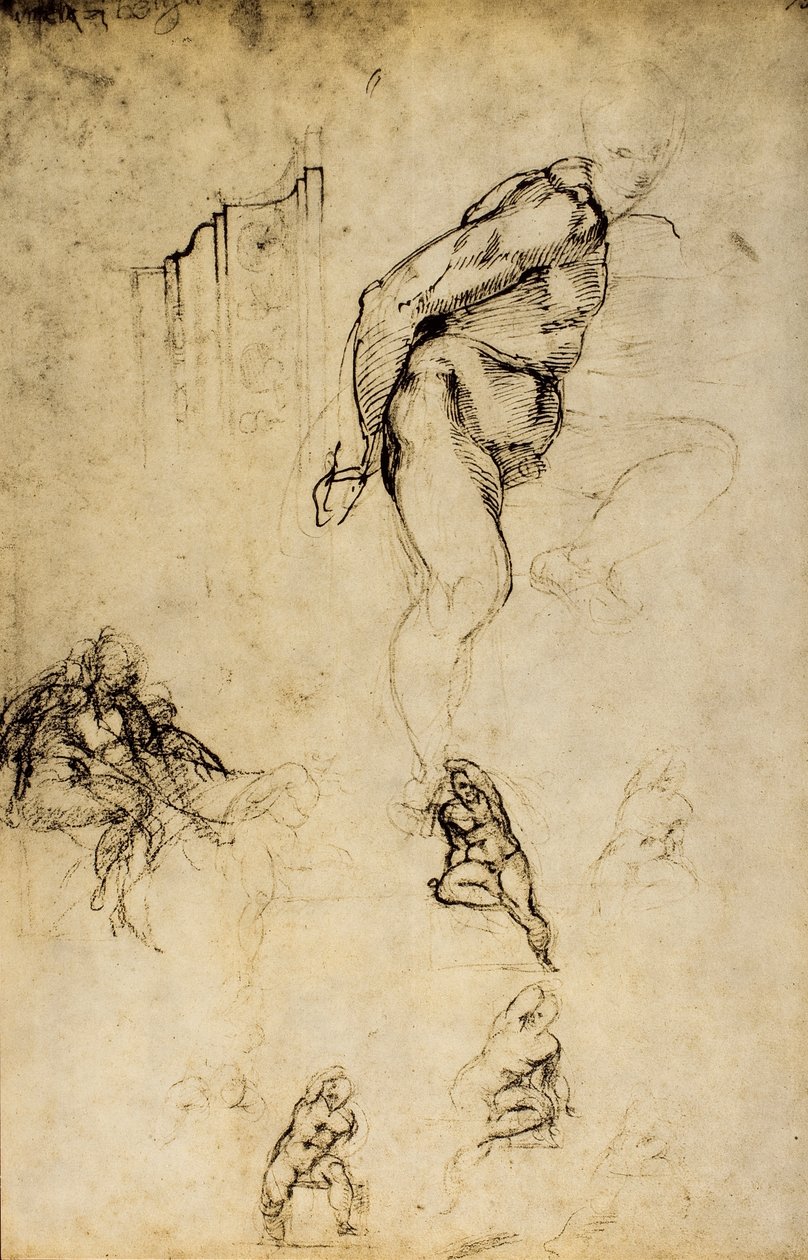 Michelangelon piirustus maskuliinisten muotojen tutkimus. Casa Buonarroti, Firenze tekijältä Michelangelo Buonarroti