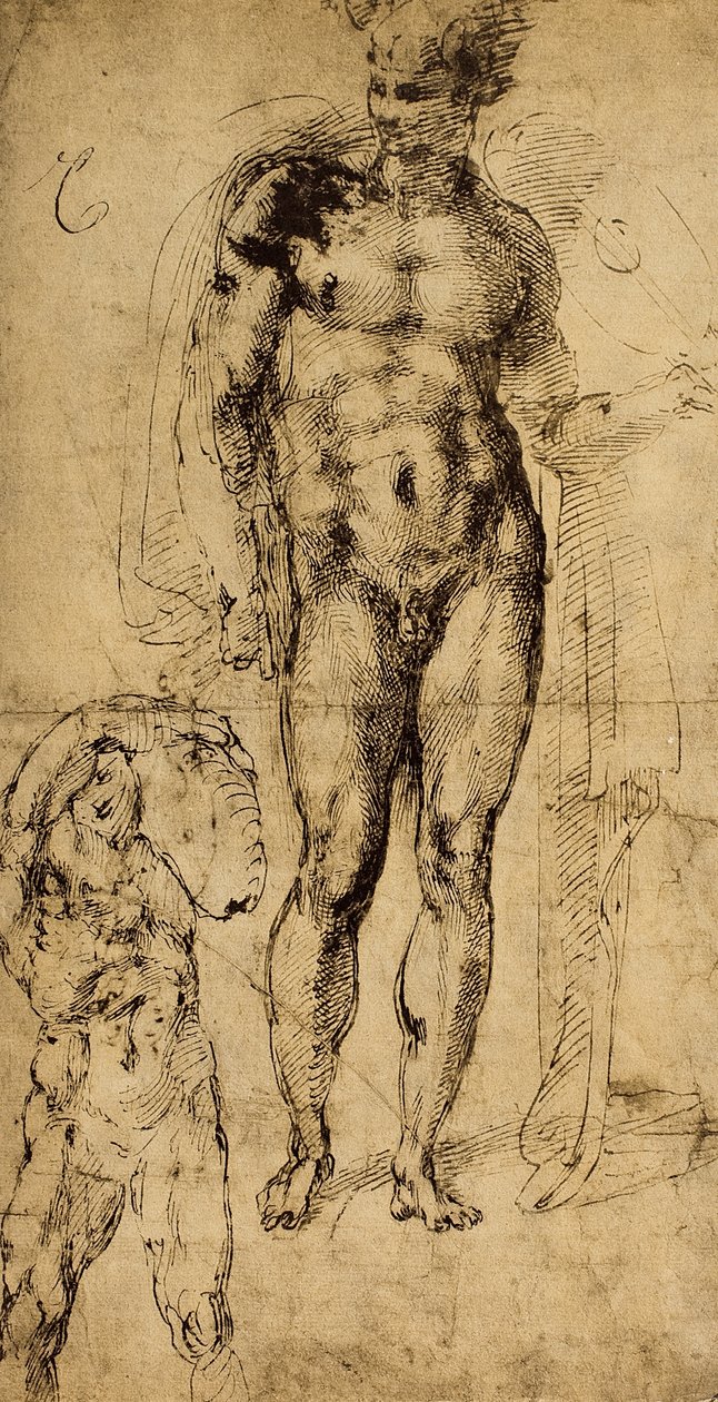 Alastontutkimus; piirustus Michelangelo. Louvre, Pariisi tekijältä Michelangelo Buonarroti