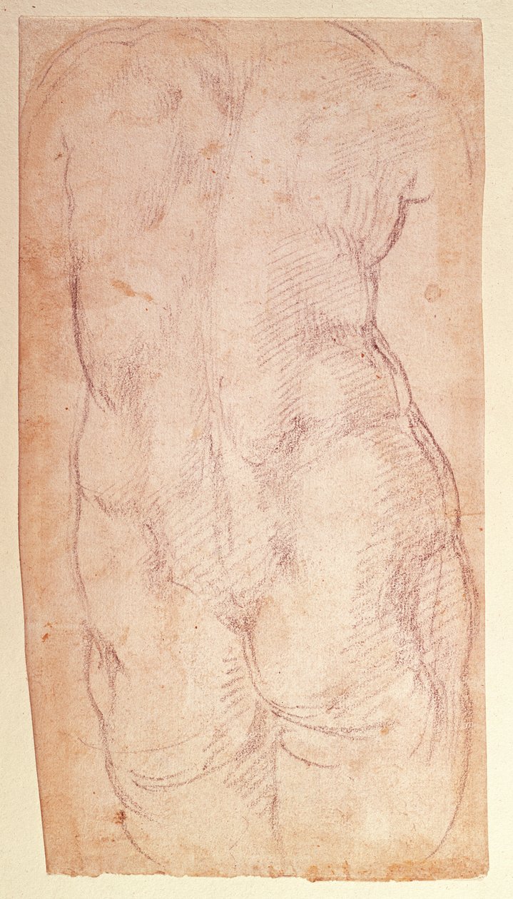 Tutkimus alastonhahmon selästä tekijältä Michelangelo Buonarroti