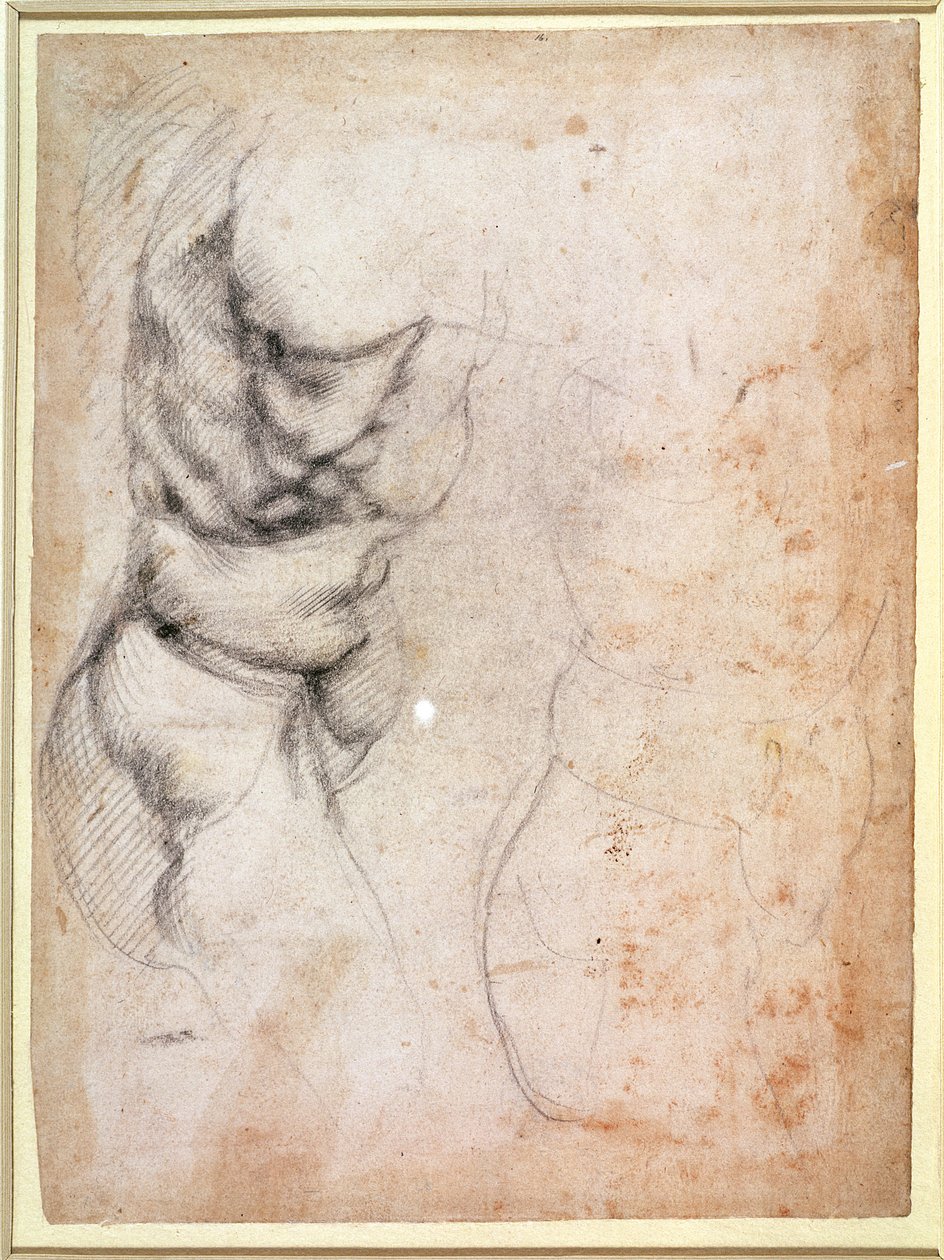 Vartalon ja pakaran tutkimus (hiili paperille) (recto) tekijältä Michelangelo Buonarroti