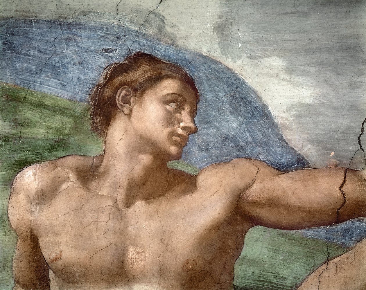 Adamin luominen, Adamin pään yksityiskohta, 1508-1212 tekijältä Michelangelo Buonarroti