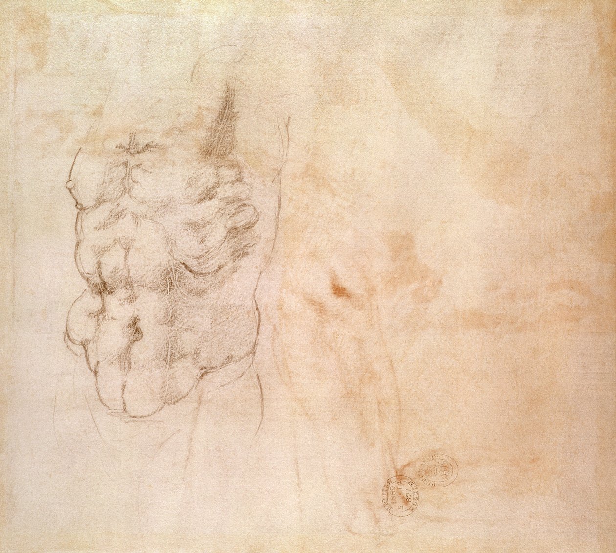 Vartalotutkimus (punainen ja musta liitu paperille) tekijältä Michelangelo Buonarroti