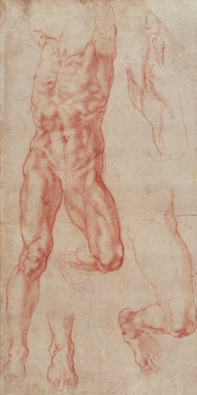 Tutkimus miespuolisesta alastonkuvasta, joka venyttelee ylöspäin tekijältä Michelangelo Buonarroti