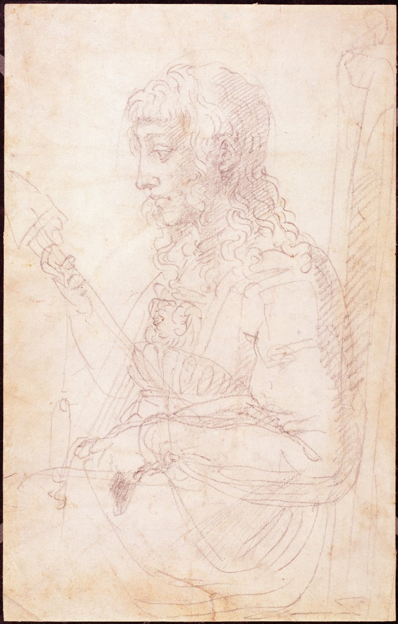 W.40 Luonnos naishahmosta tekijältä Michelangelo Buonarroti