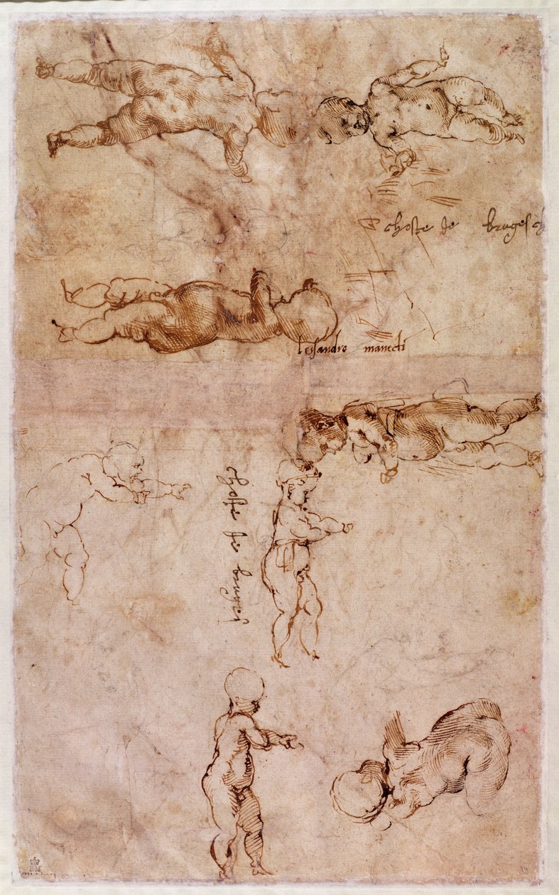 W.4v Sivu luonnoksia vauvoista tai kerubeista (muste paperille) tekijältä Michelangelo Buonarroti