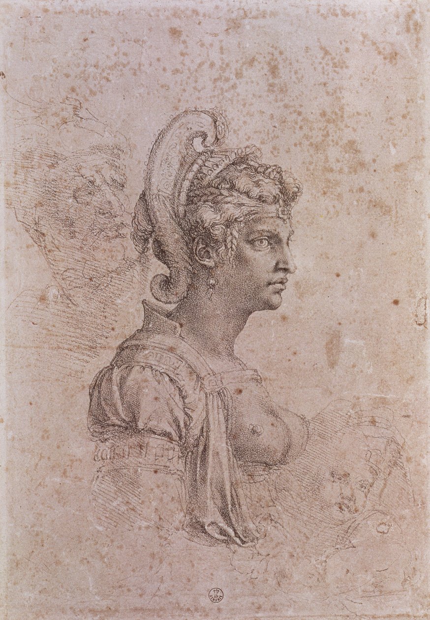 Zenobia, Palmyran kuningatar, Syyria (3. vuosisata jKr.) (hiili paperille) tekijältä Michelangelo Buonarroti