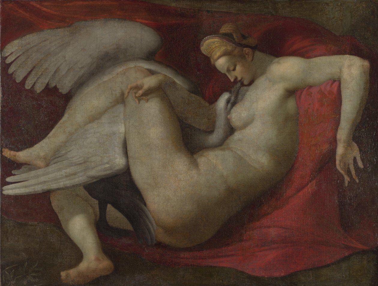 Leda ja joutsen, vuoden 1530 jälkeen (öljy kankaalle) tekijältä Michelangelo (School of) Buonarroti
