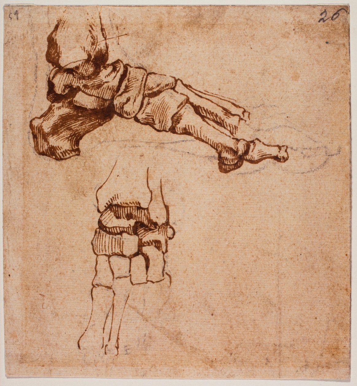 Anatominen jalkatutkimus tekijältä Michelangelo (after) Buonarroti