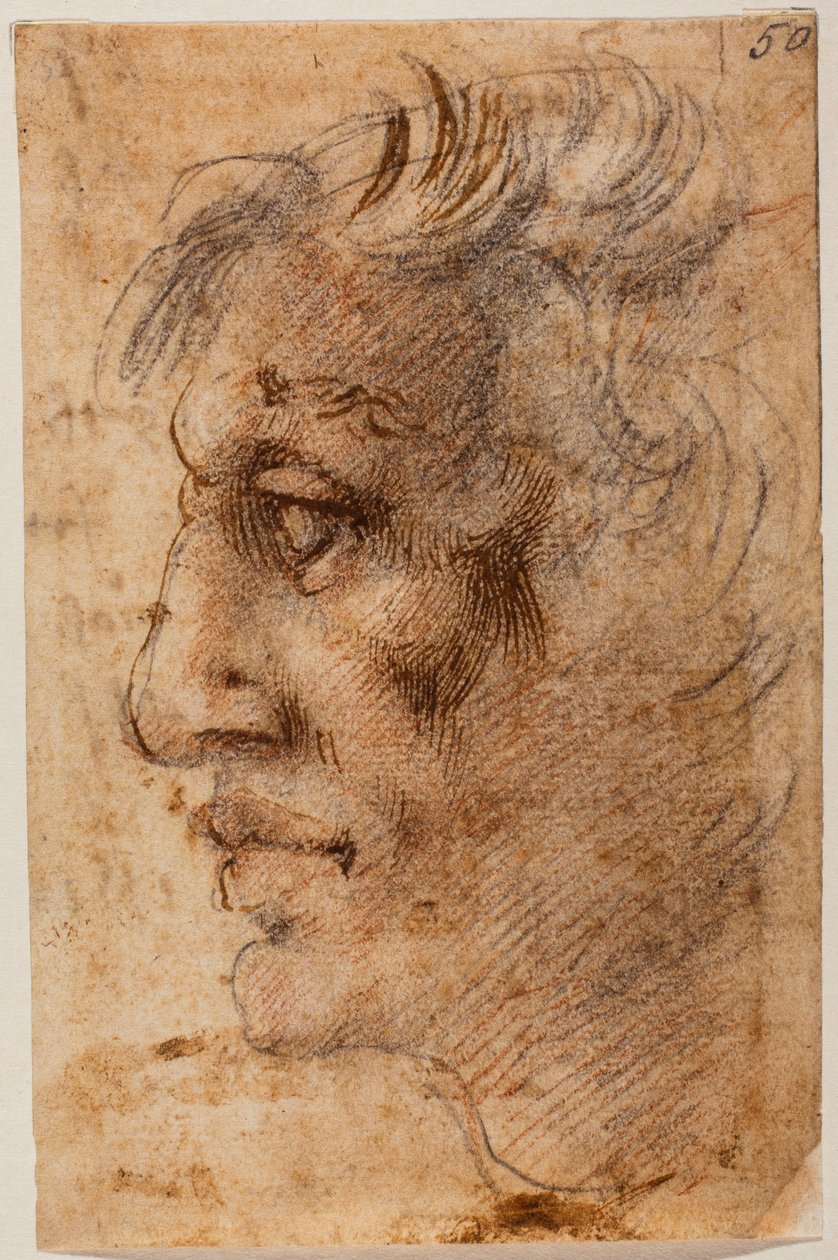 Miehen pää profiilissa tekijältä Michelangelo (after) Buonarroti