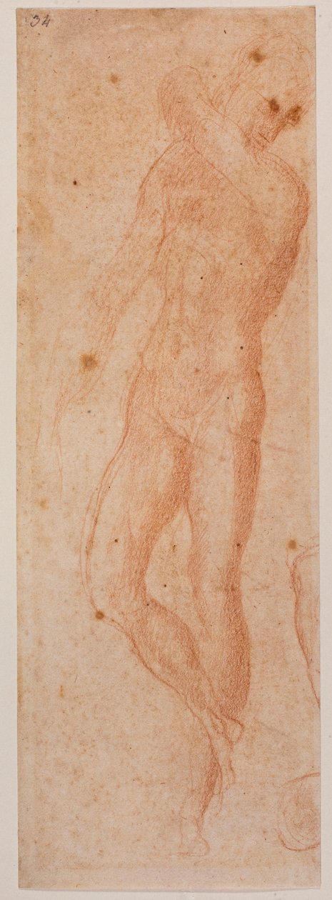 Tutkimukset miespuolisista alastonkuvista tekijältä Michelangelo (after) Buonarroti