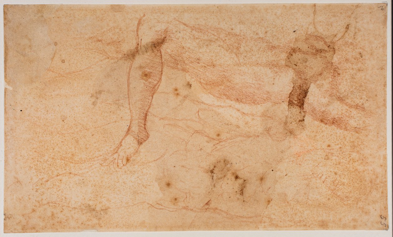 Alastonkuvia koskevat tutkimukset tekijältä Michelangelo (after) Buonarroti