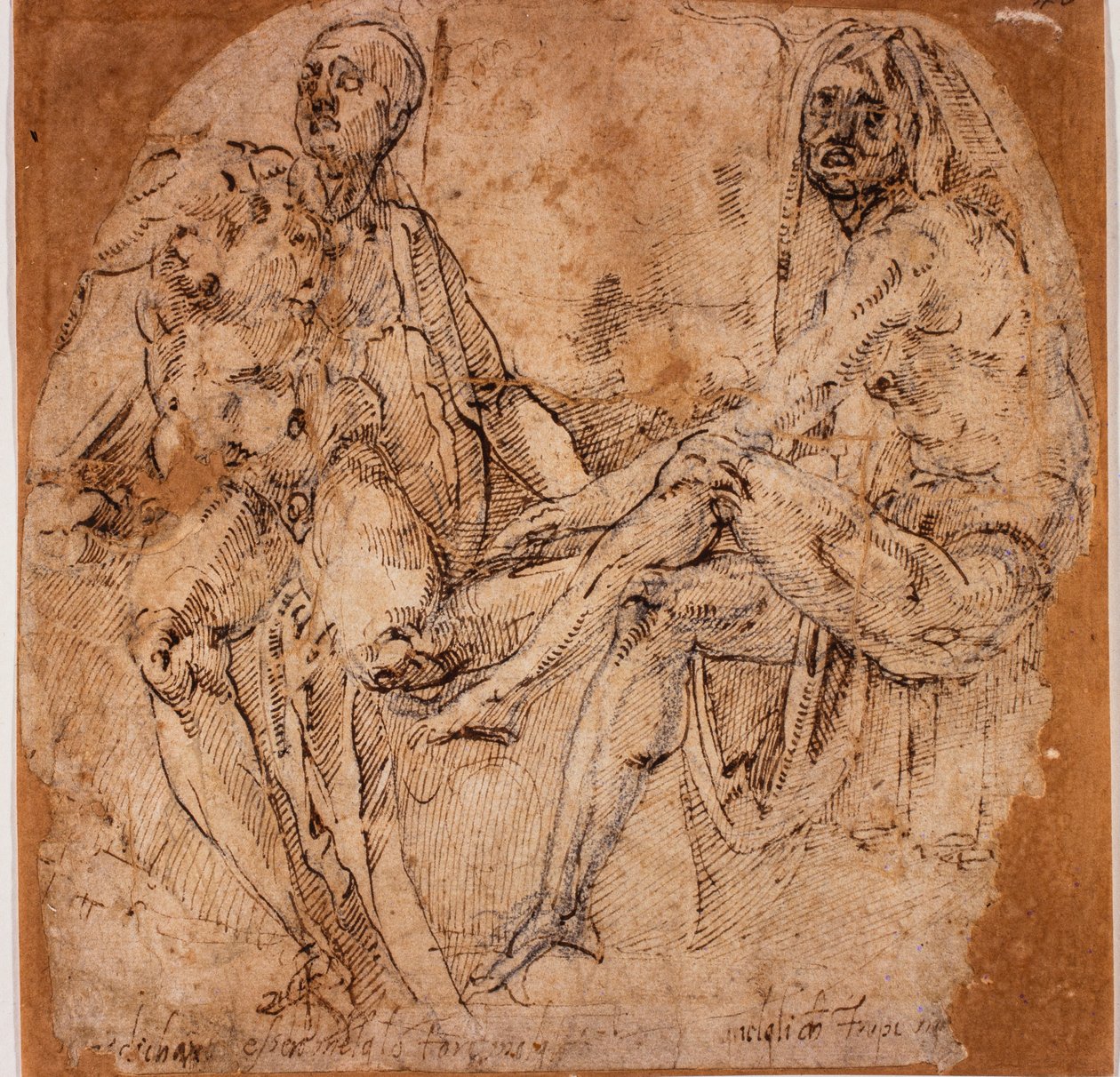 Alastonkuvia koskevat tutkimukset tekijältä Michelangelo (after) Buonarroti