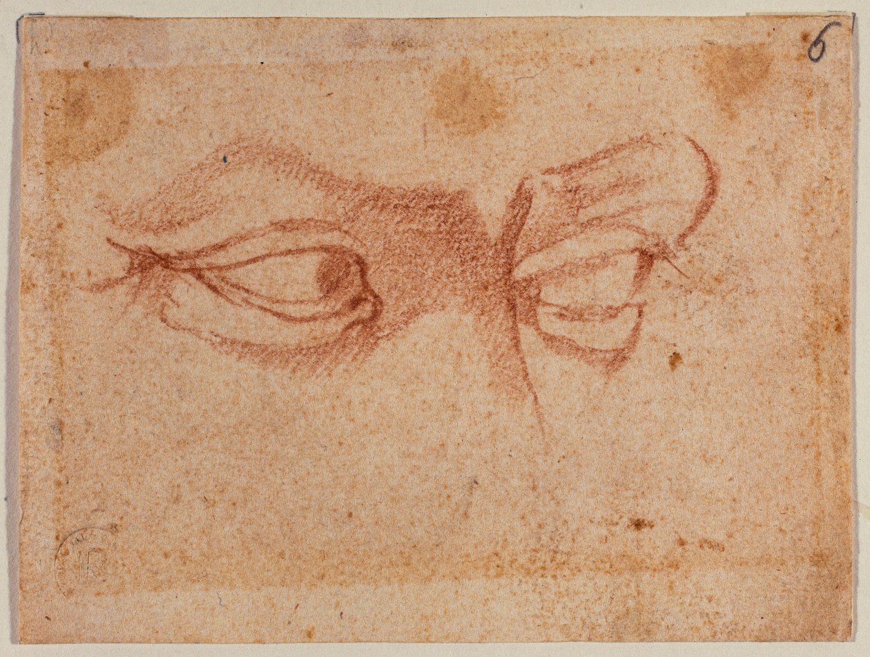 Silmien tutkimus tekijältä Michelangelo (after) Buonarroti