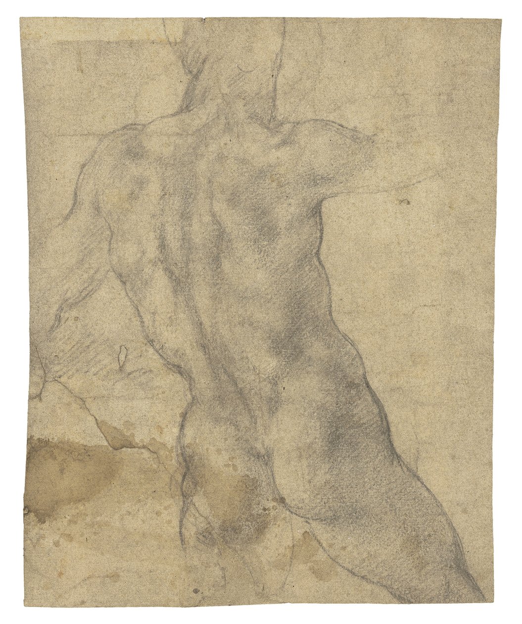 Mies alaston takaa katsottuna tekijältä Michelangelo Buonarroti