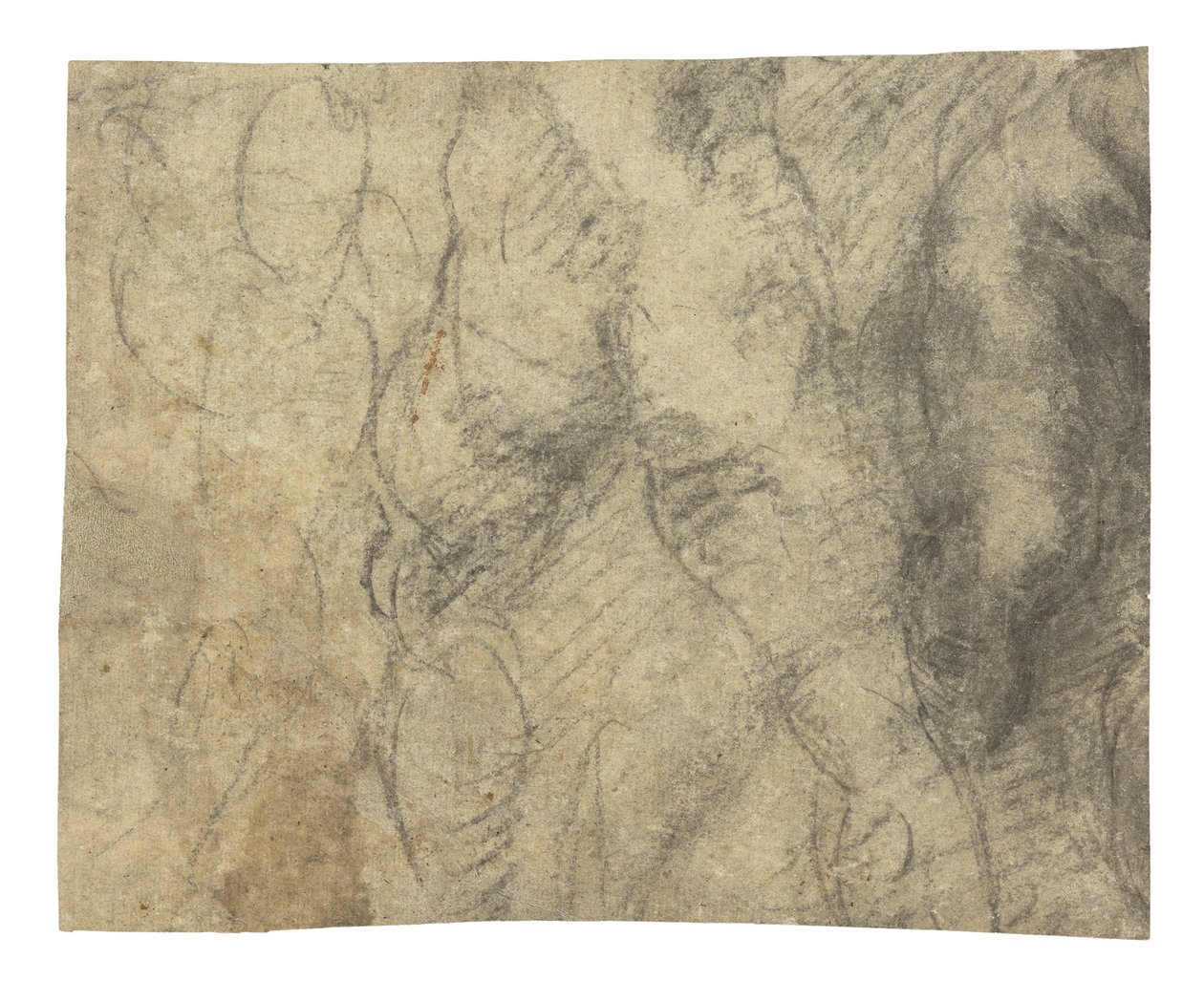 Mies alaston takaa katsottuna tekijältä Michelangelo Buonarroti