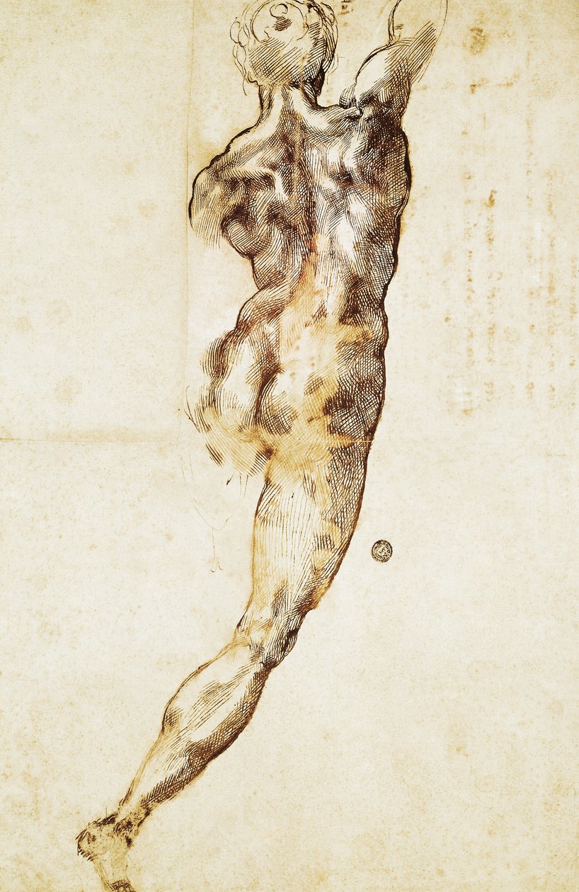Miespuolinen alaston takaa katsottuna, Michelangelon (1475-1564) tutkimus Cascinan taistelua varten, piirustus. tekijältä Michelangelo Buonarroti