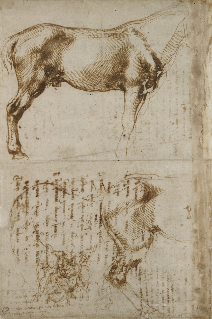 Anatominen hevostutkimus, 1504 tekijältä Michelangelo Buonarroti