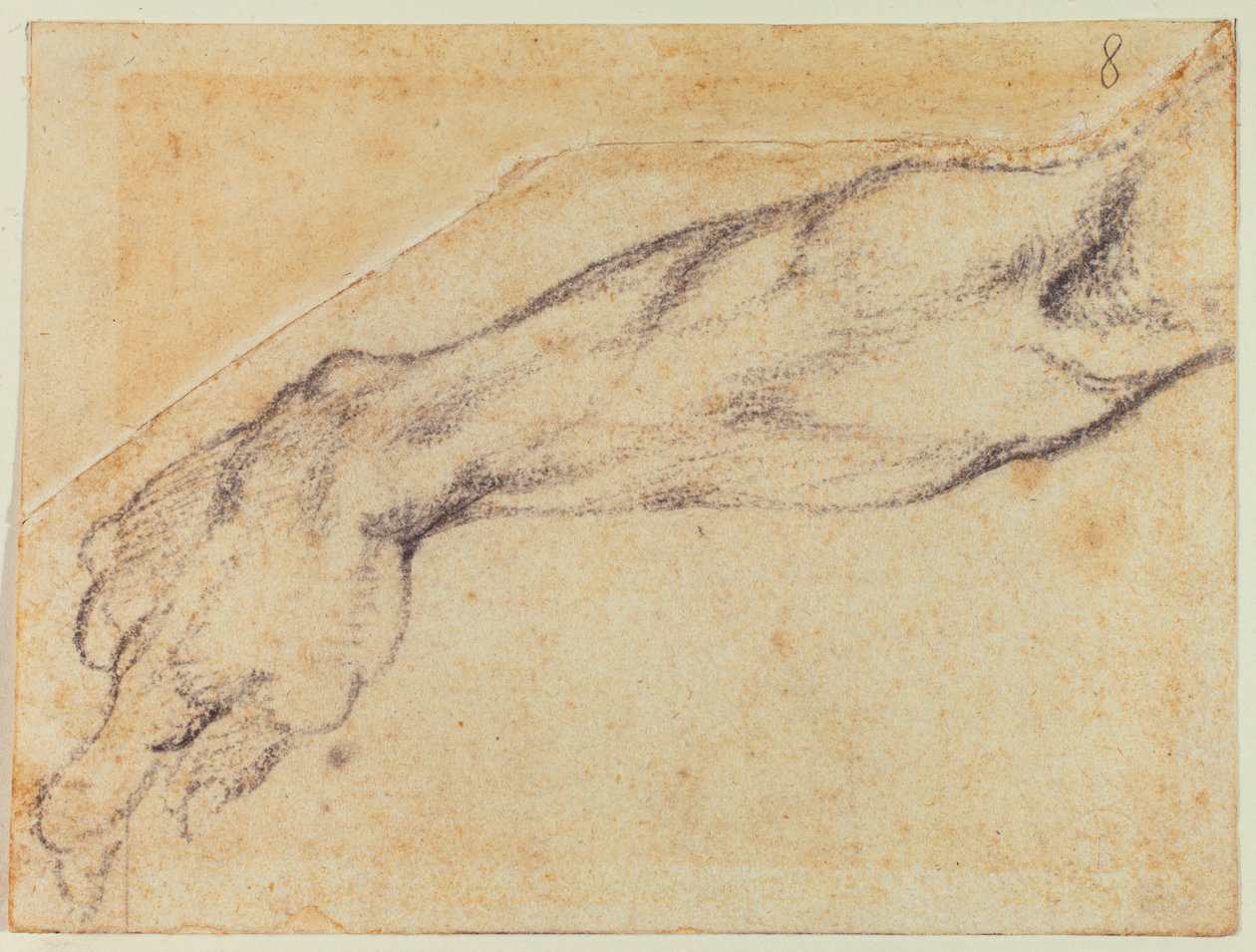 Sikstuksen hahmoa varten tehty käsivarren tutkimus tekijältä Michelangelo Buonarroti