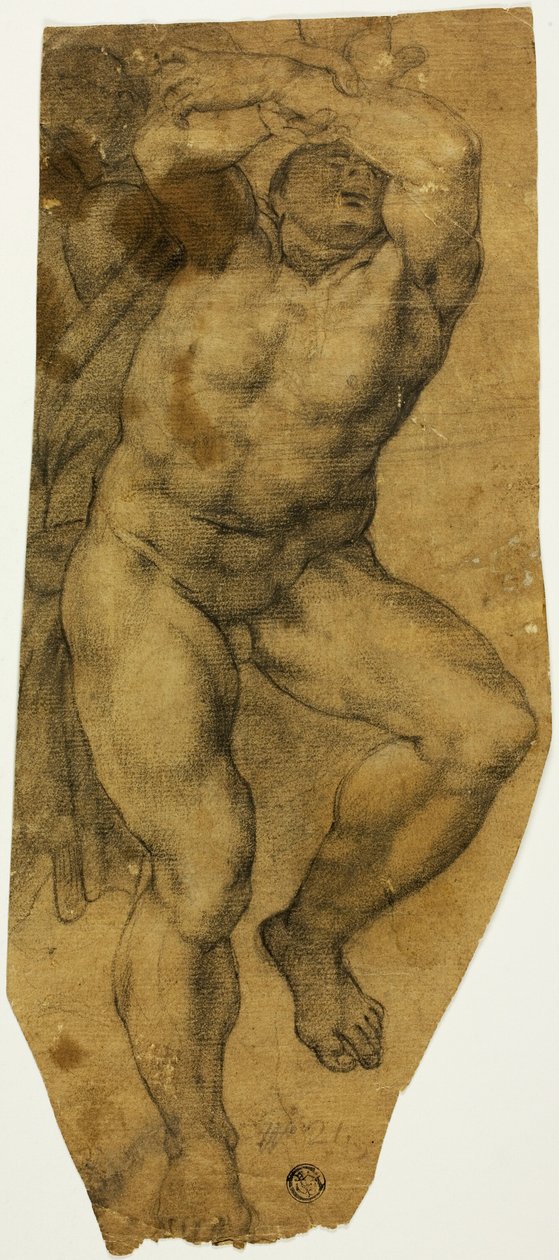 Nouseva alaston mies tekijältä Michelangelo Buonarroti