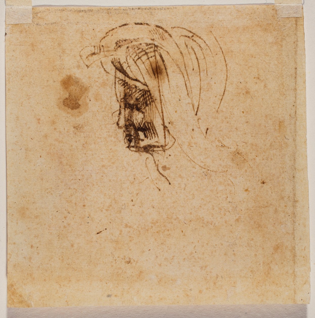 Naisen pää tekijältä Michelangelo Buonarroti