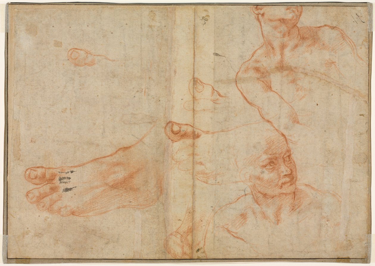 Kuvatutkimukset Sikstuksen kattoon (käänteinen) tekijältä Michelangelo Buonarroti