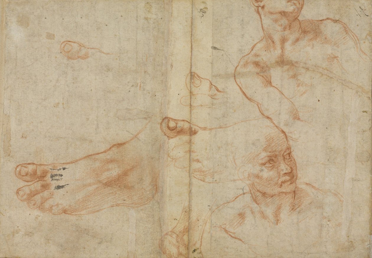 Kuvatutkimukset Sikstuksen kattoon tekijältä Michelangelo Buonarroti