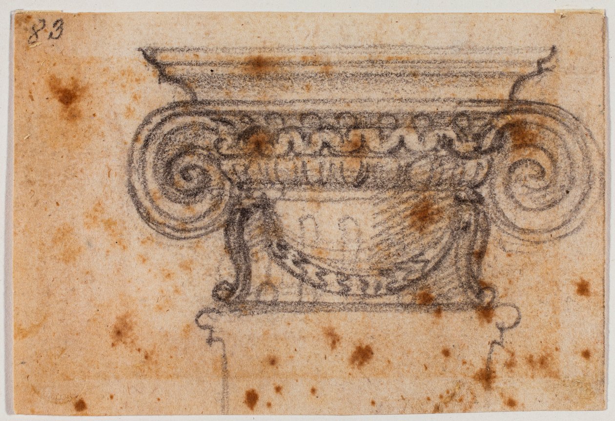 Ioninen pääomatutkimus tekijältä Michelangelo Buonarroti