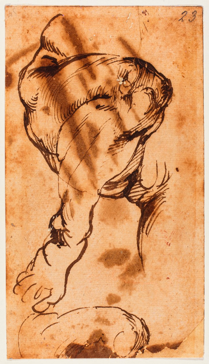 Jalkatutkimus lapselle Doni Tondossa tekijältä Michelangelo Buonarroti
