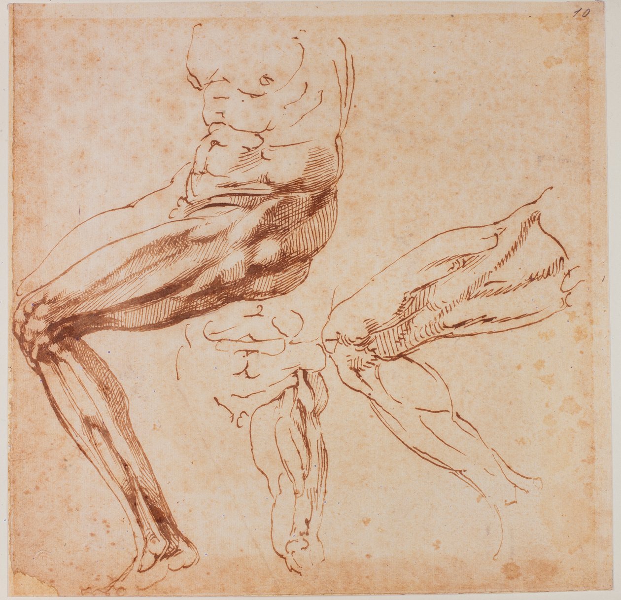 Jalkojen tutkimukset tekijältä Michelangelo Buonarroti