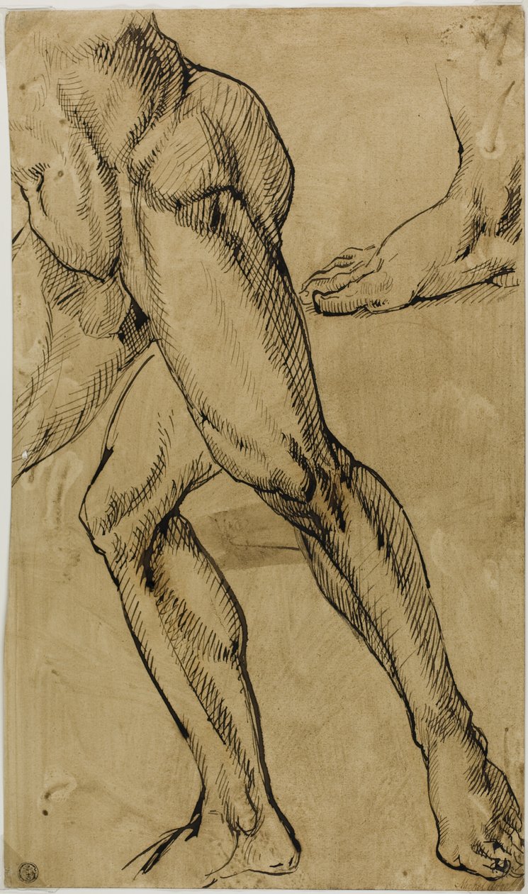 Miesten alaston jalat tekijältä Michelangelo Buonarroti