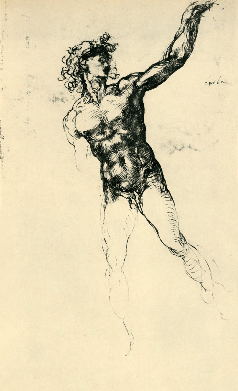 Miesten alastonkuva, 1503-1504, 1943. tekijältä Michelangelo Buonarroti