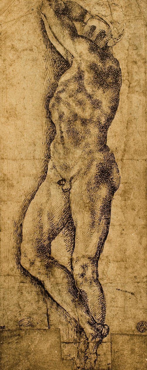 Mies alaston; piirustus Michelangelo. Louvre, Pariisi tekijältä Michelangelo Buonarroti