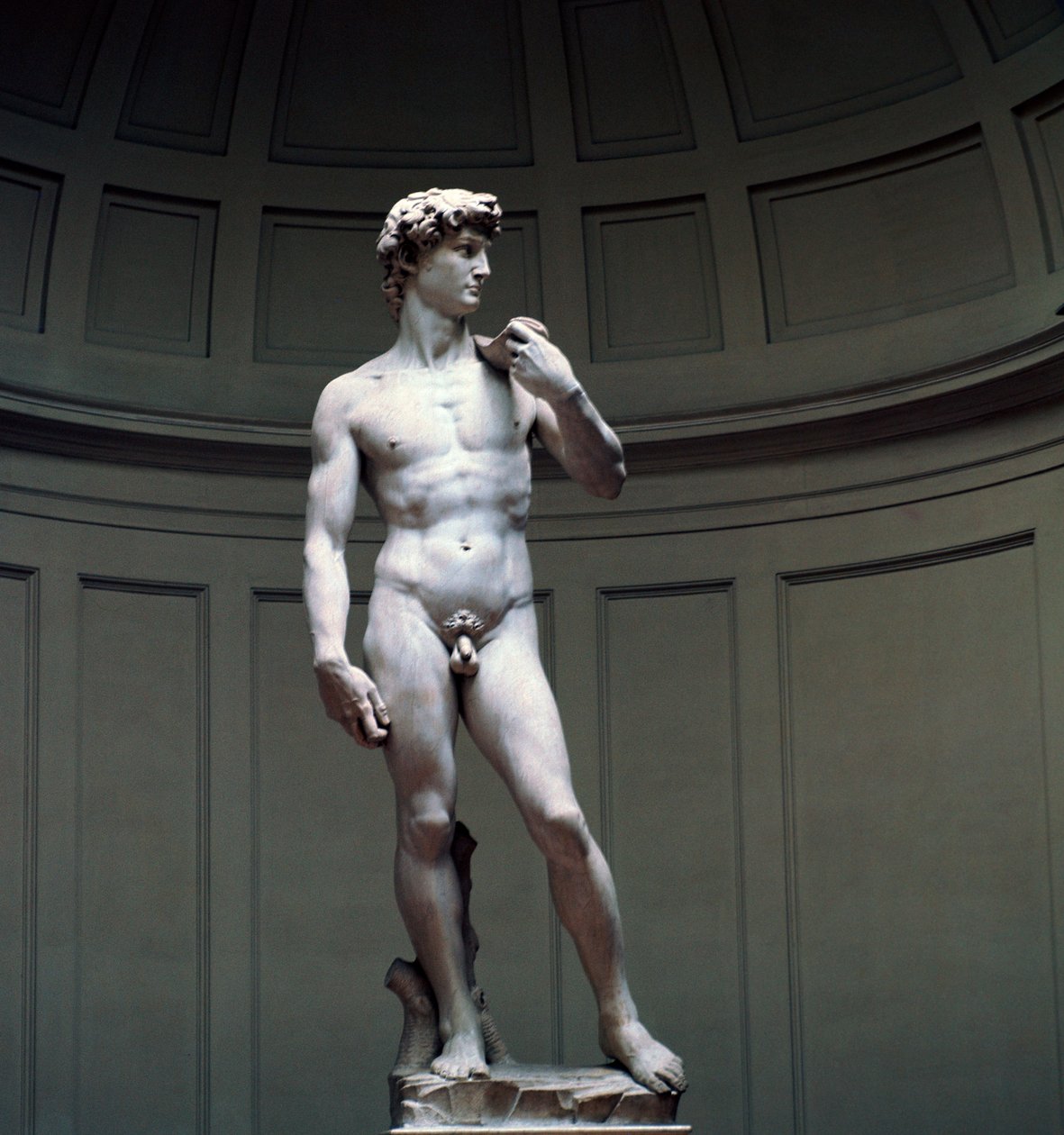 Michelangelon David, 1500-luku tekijältä Michelangelo Buonarroti