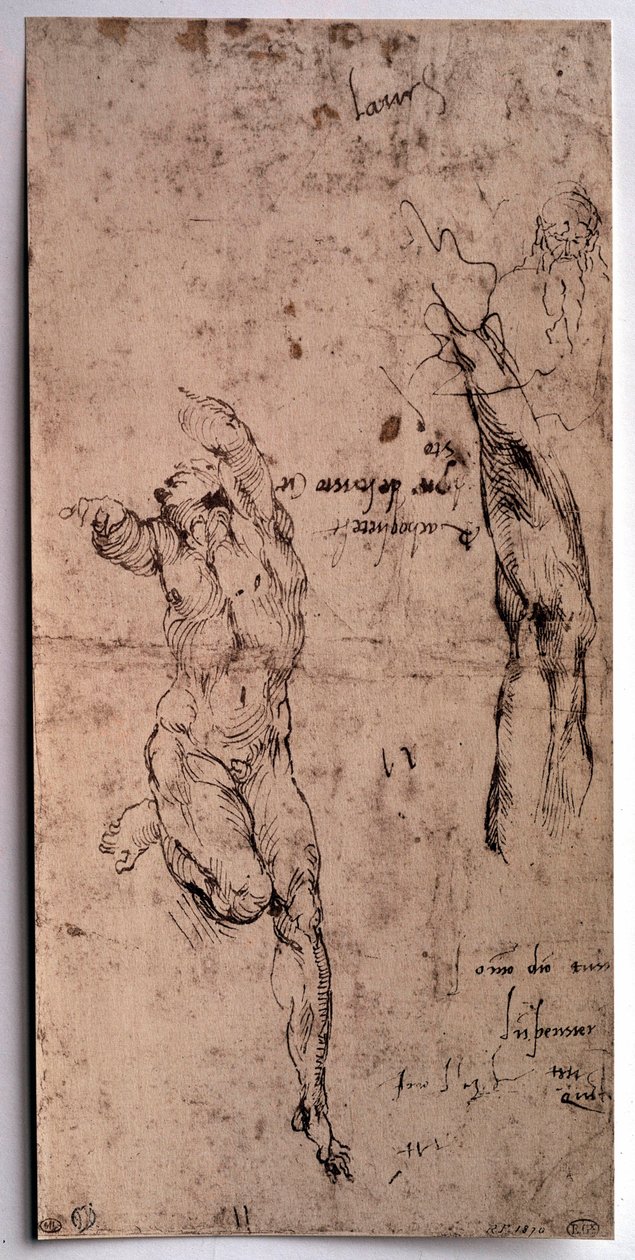 Alaston mies, käsivarsi. Piirustus Michelangelo Buonarroti dit Michelangelo (Michelangelo tai Michel Ange tekijältä Michelangelo Buonarroti