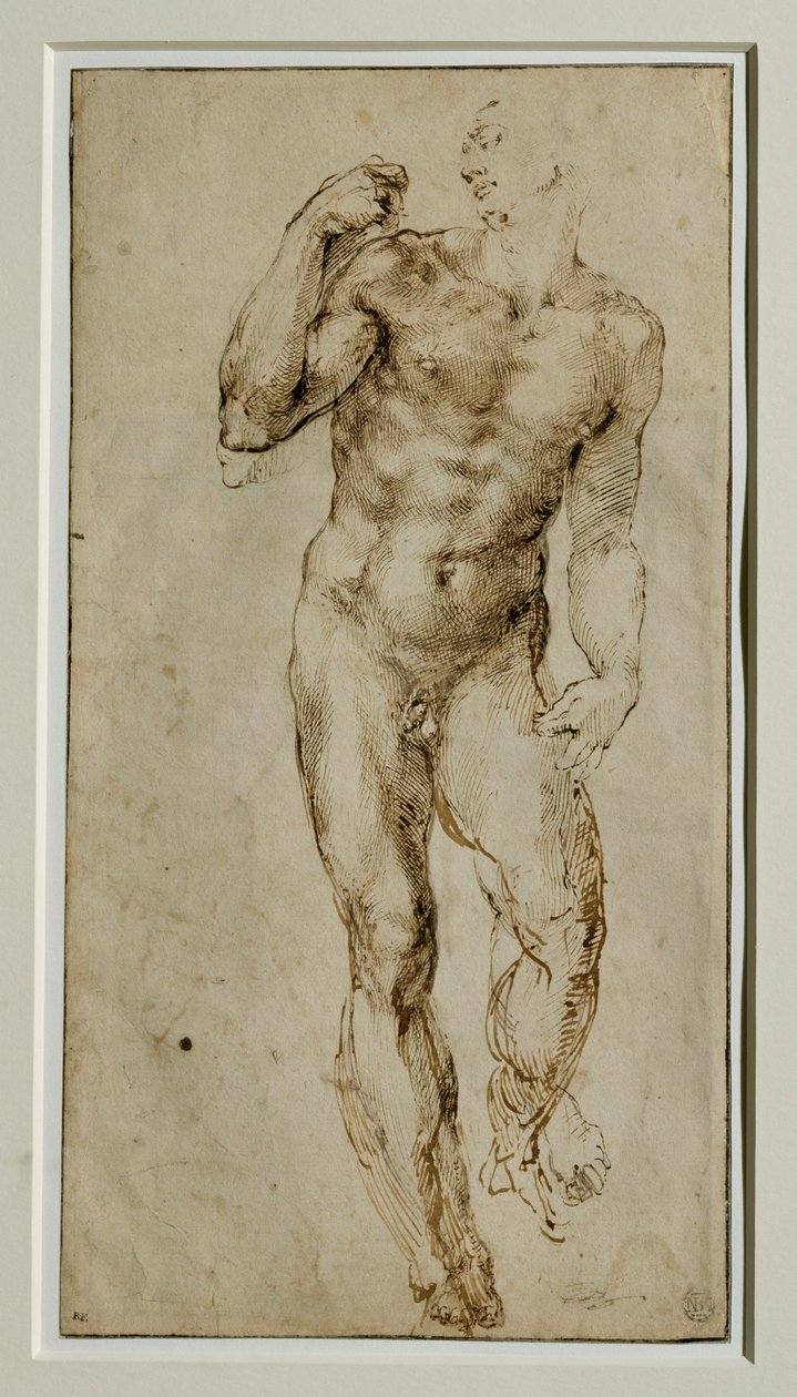 Miehen alaston, etukuva, noin 1502-1506 ... tekijältä Michelangelo Buonarroti