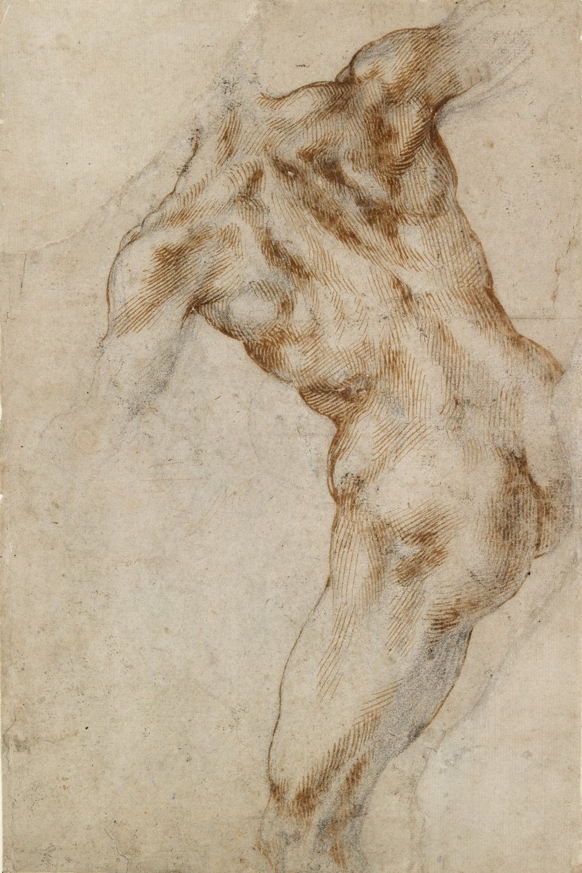 Alaston uros vartalo, 1500-luvun alku tekijältä Michelangelo Buonarroti