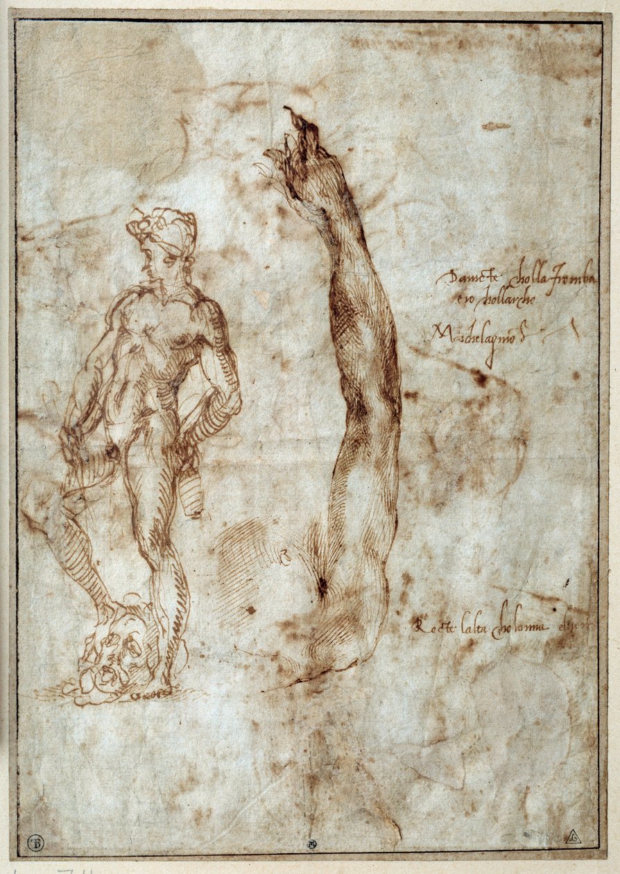 Alaston tutkimus. Michelangelo Buonarroti dit Michelangelo (Michelangelo tai Michel Ange tekijältä Michelangelo Buonarroti