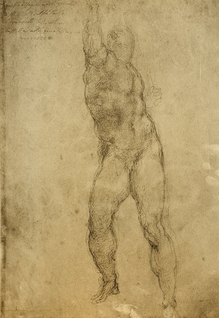 Alastontutkimus, Michelangelon piirustus. Gallerie dellAccademia, Venetsia tekijältä Michelangelo Buonarroti