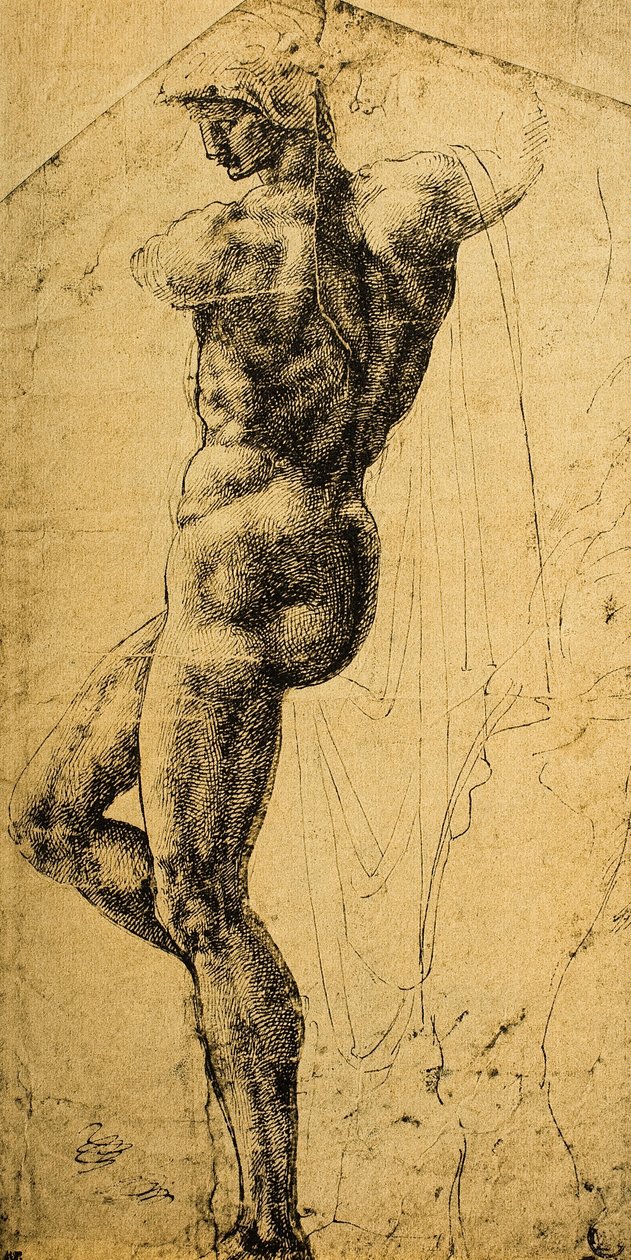 Alaston tutkimus; piirustus Michelangelo. Musee du Louvre, Pariisi tekijältä Michelangelo Buonarroti