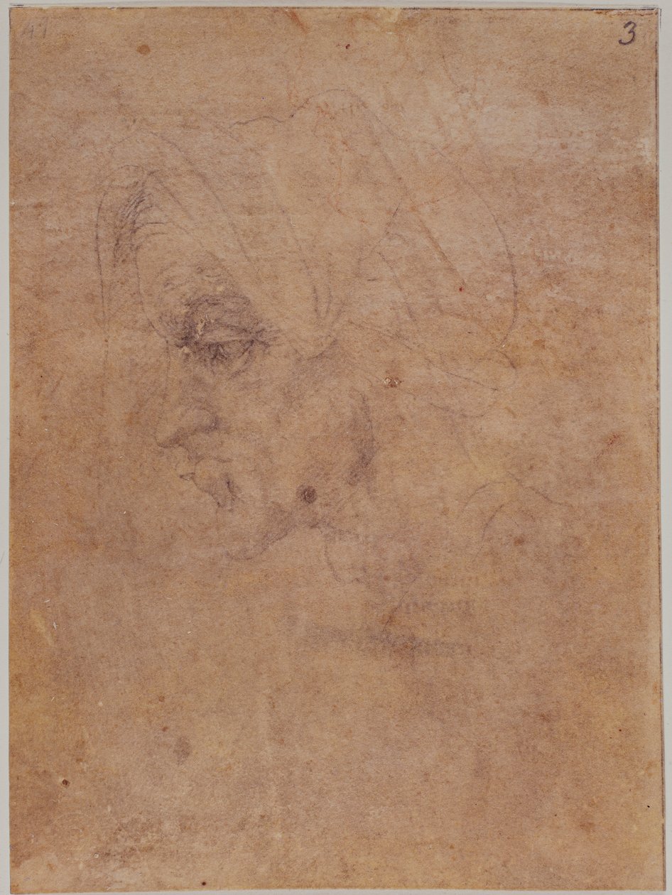 Vanhan naisen profiili tekijältä Michelangelo Buonarroti