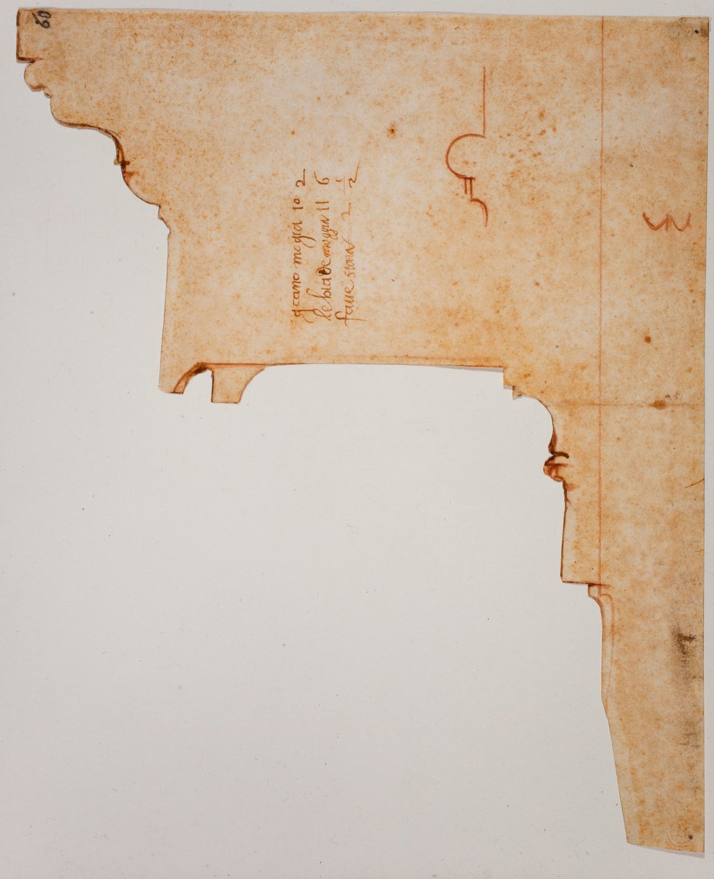 Julkisivun profiili tekijältä Michelangelo Buonarroti